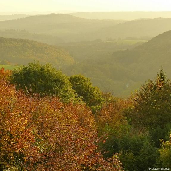 Modernas, bruxas do Bosque Alemão agora contam histórias na web