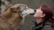 Tatjana Schneider snuggles with a wolf friend Tatjana Schneider snuggles with a wolf friend