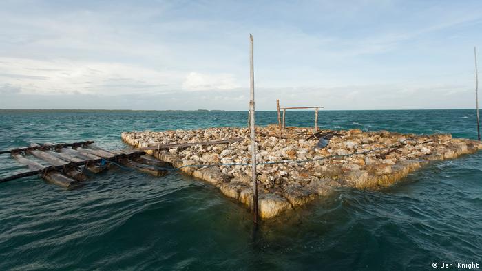 Solomon Islands - Lau Lagoon (Beni Knight)
