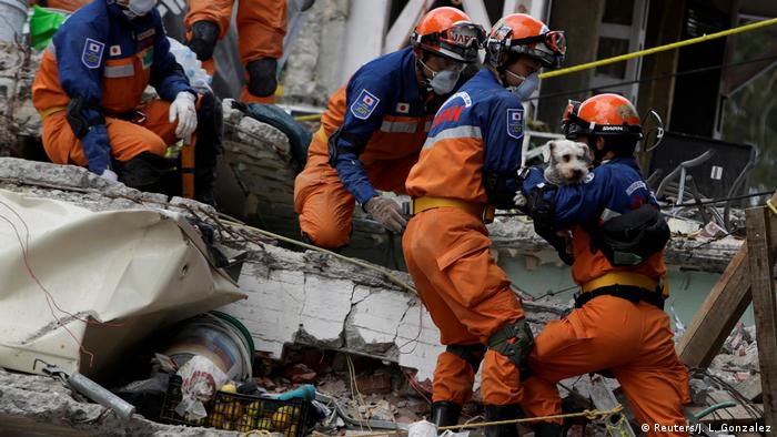 Rescatistas japoneses sacan a un perro de entre los escombros en Ciudad de México, en 2017.