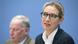 Deutschland AfD Alice Weidel Deutschland AfD Alice Weidel