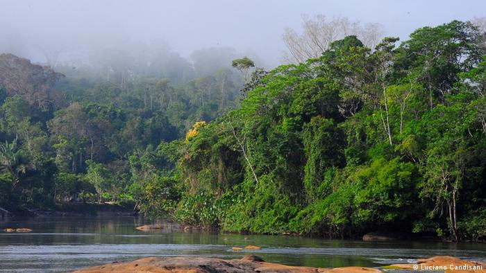 Brasilien Amazonas-Regenwald (Luciano Candisani)