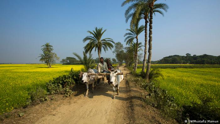 গরুর গাড়ি