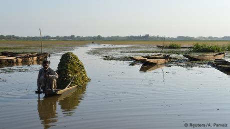 Kashmir: Vanishing wetlands threaten wildlife, livelihoods