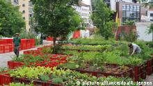 Transforming German cities into organic food gardens