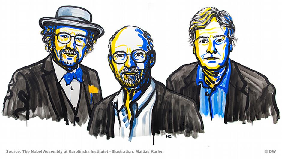Nobel Prize For Medicine Awarded To Jeffrey C Hall Michael Rosbash And Michael W Young For Discoveries Of Mechanisms For Biological Clocks Science In Depth Reporting On Science And Technology