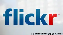 Symbolbild Logo Flickr