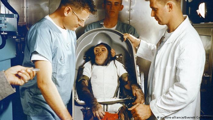 Ham, erster Affe im Weltall (Foto: picture-alliance/Everett Collection)