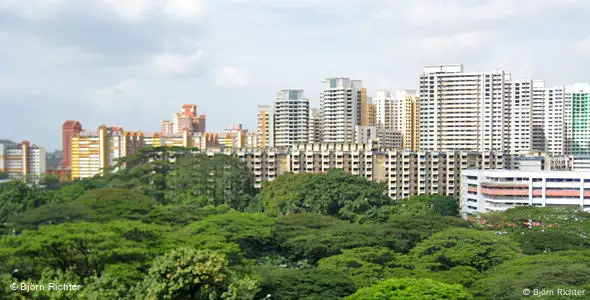 Im Vordergrund Büsche und Bäume, in einiger Entfernung die Skyline mit Hochhäusern - der Blick aus Björn Richters Fenster (Foto: Richter)