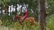 Deutschland Brieselang Brandenburg Symbolfoto Ausritt im Wald Deutschland Brieselang Brandenburg Symbolfoto Ausritt im Wald