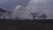An image of the Serengeti park An image of the Serengeti park