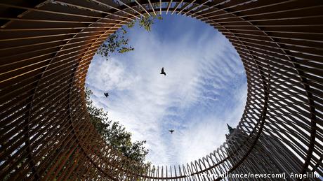 Ai Weiweis Installation der Vergoldete Käfig aus der Froschperspektive aufgenommen. Zu sehen: blauer Himmel mit sanften Wolken und drei Vögeln. (Foto: picture-alliance/newscom/J. Angelillo)