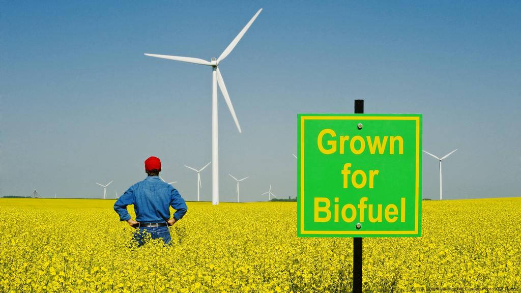 Biofuels: Good or bad for the environment? | Environment | All topics from  climate change to conservation | DW | 25.06.2018
