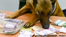 Drogenhund auf Bargeldjagd
