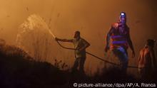Protección Civil confirma 27 muertos en los incendios en Portugal