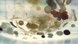 Fishing for microplastics in the Rhine Fishing for microplastics in the Rhine