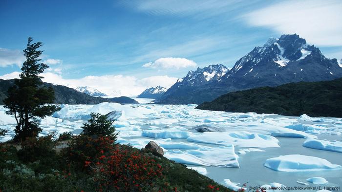 Blocks of ice flowing into the water on the Gray Glacier in Chile