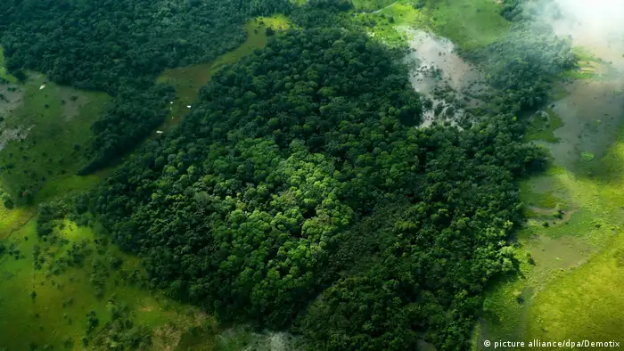Para el académico de la Universidad de Florida, “en general en Brasil, Colombia, Perú, Venezuela, Guyana, Bolivia y Ecuador hay problemas de largos periodos de sequía en la Amazonía, algo que mata a los bosques tropicales. Como consecuencia también se produce la desaparición de especies”.