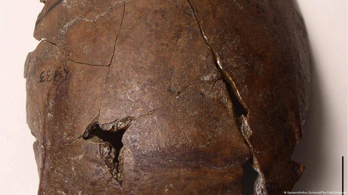 Ancient skull first 'tsunami victim'