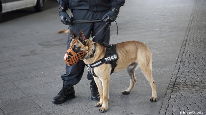 ۴۲۰ سگ برای پولیس موظف هستند