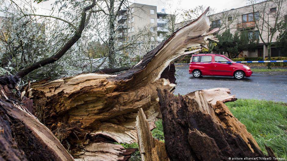 Storm Herwart sweeps across Germany, Czech Republic, Poland