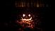Halloweenkürbis im dunklen Wald Halloweenkürbis im dunklen Wald