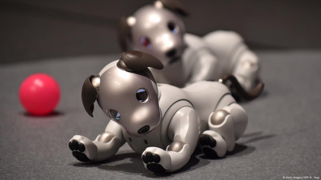 robo dog