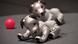 Sony's Aibo robot Sony's Aibo robot