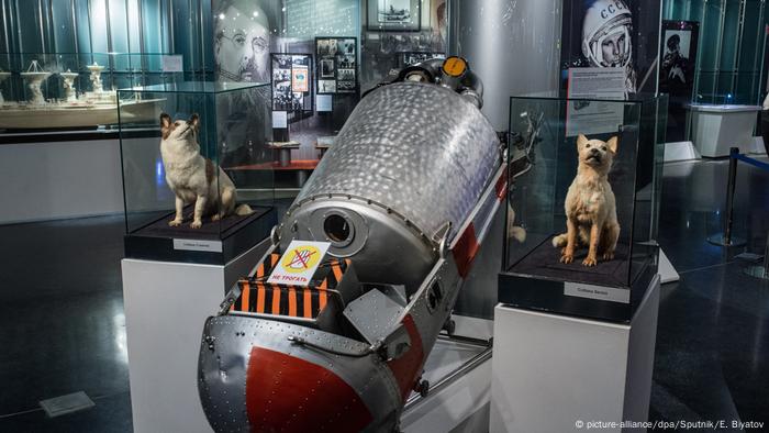 Bildergalerie Tiere im Weltall Belka und Strelka (picture-alliance/dpa/Sputnik/E. Biyatov)