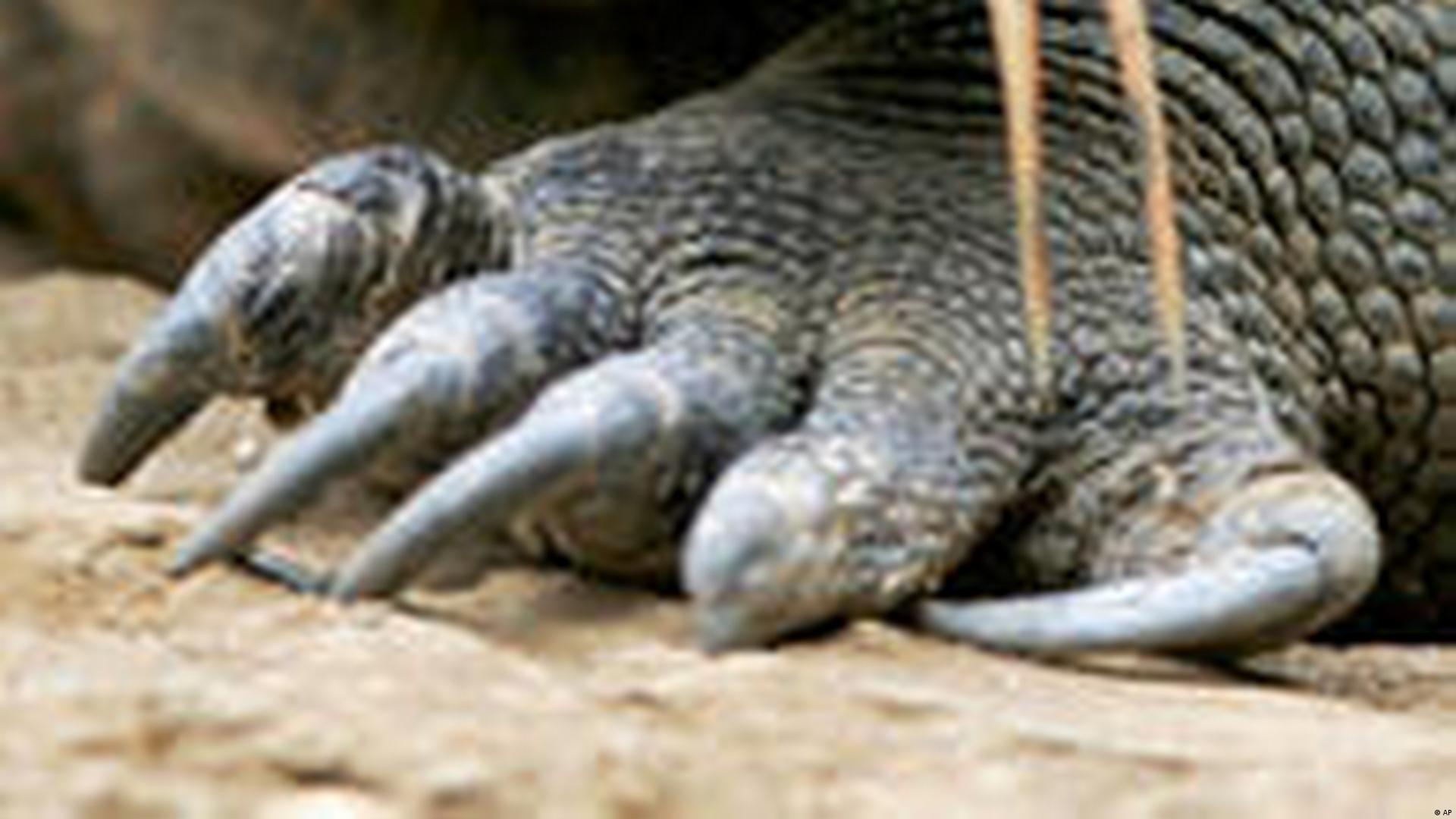 Tabu jinsiy aloqa film Creampie tukli mushuk va qoltiq