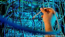 NSA sammelt weiter massiv Daten von Ausländern 