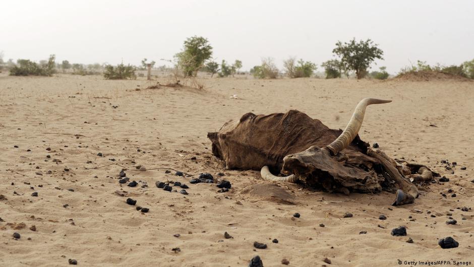African ranchers and farmers at odds over land