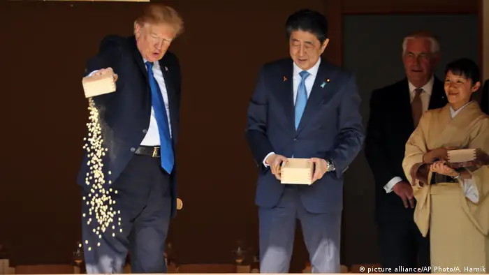 Japan Asien-Reise des US-Präsidenten | Koi-Fütterung (picture alliance/AP Photo/A. Harnik)