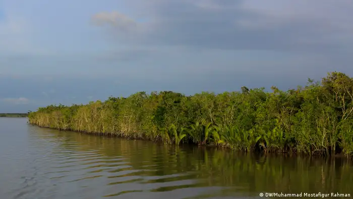 Bangladesch Sundarbans (DW/Muhammad Mostafigur Rahman)