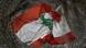 A Lebanese flag trapped in barbed wire A Lebanese flag trapped in barbed wire