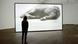 Deutschland - Tiere im Museum für Kunst und Gewerbe Hamburg: Douglas Gordon, Play Dead Deutschland - Tiere im Museum für Kunst und Gewerbe Hamburg: Douglas Gordon, Play Dead