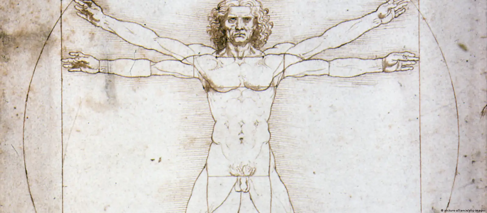 Resuelven el enigma de Leonardo da Vinci y el Busto de Flora – DW –  15/04/2021, image size:1600x700