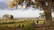 Italien Weinland Toskana Castagneto Carducci Weingut Italien Weinland Toskana Castagneto Carducci Weingut