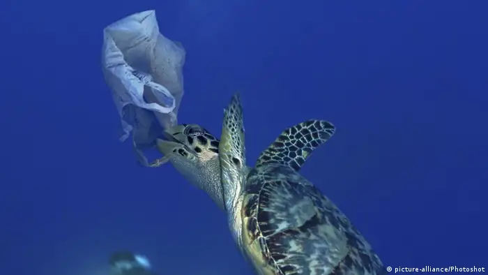 Meeresschildkröte frisst Plastik-Müll (picture-alliance/Photoshot)
