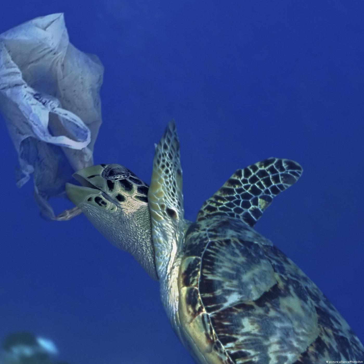 Living Planet: Plastic planet?