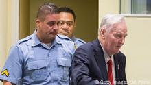 Mladic es condenado a cadena perpetua por crímenes de guerra
