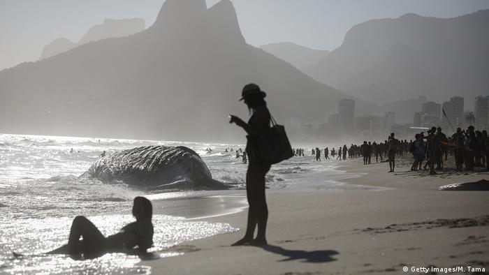 Sunbathers gather near a dead humpback whale washed up on famed Ipanema beach