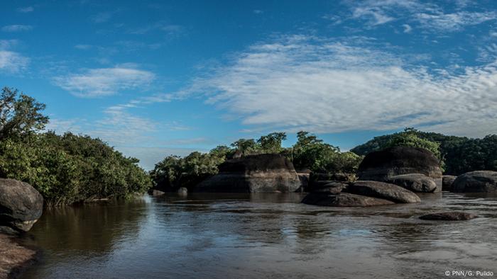 La Reserva de la Biosfera El Tuparro se caracteriza por una extensa sabana verde surcada por grandes ríos y playas doradas.