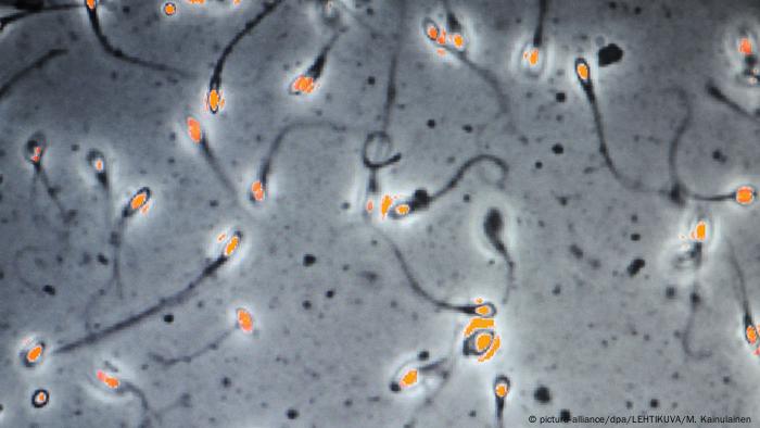 https://www.uea.ac.uk/about/-/climate-change-damaging-male-fertility