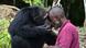 Ivory Coast: Ponso - the loneliest chimpanzee in the world Ivory Coast: Ponso - the loneliest chimpanzee in the world