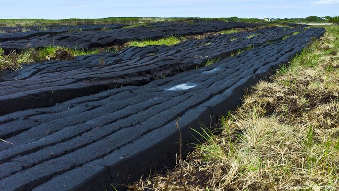 Turf lined up to dry on a bogland in Ireland