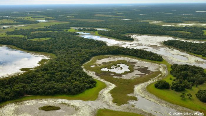 The Pantanal wetlands in Brazil (picture-alliance/Kyodo)