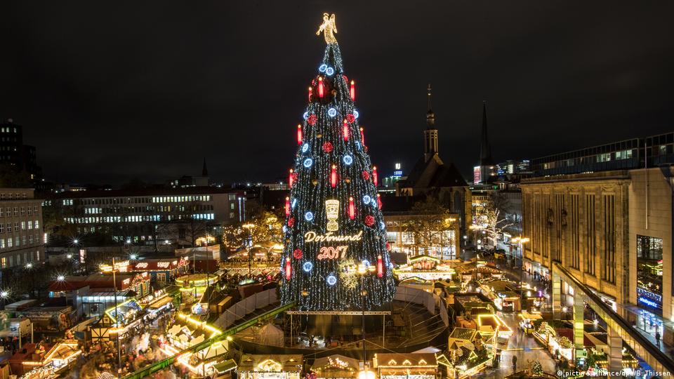 christmas trees in germany