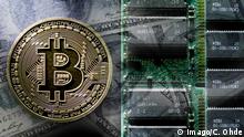 Münze mit Bitcoin-Zeichen und Dollarnoten, Kryptowährung Bitcoin *** Coin with Bitcoin sign and dollar bills. Cryptocurrency Bitcoin 