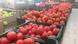 Ящики с помидорами в овощном магазине Ящики с помидорами в овощном магазине